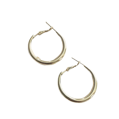 Silver & Gold Hoop Earings s925 pin