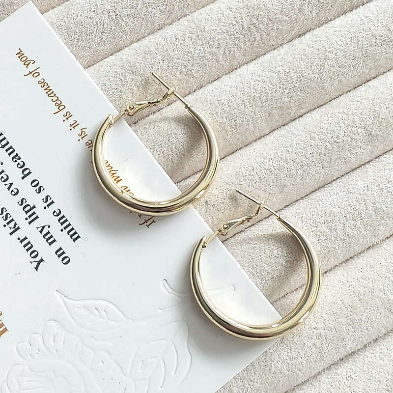 Silver & Gold Hoop Earings s925 pin